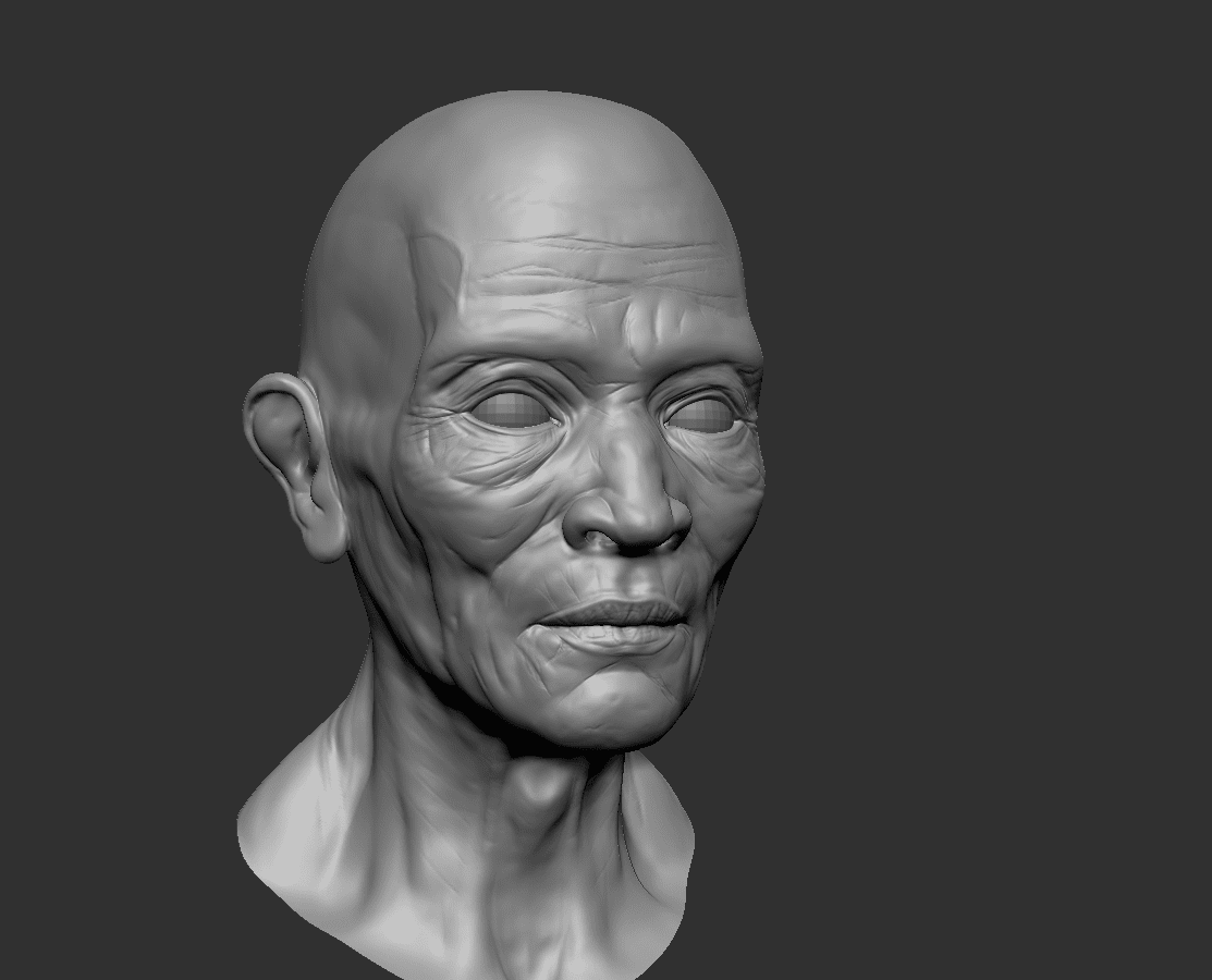 Gray sculpted bust of an elderly person.