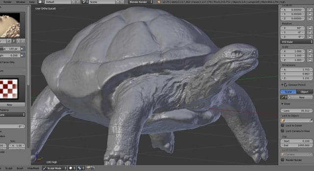 Sculpting der Schildkröte