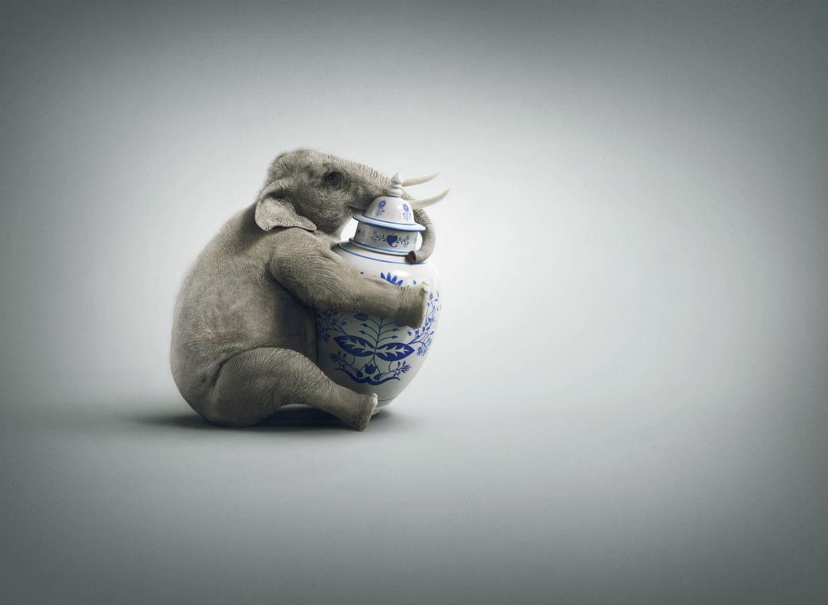 "Elephant | Lapp Kabel"/Jung von Matt/Neckar GmbH/3ds Max, V-Ray, Mudbox/ Deutschland