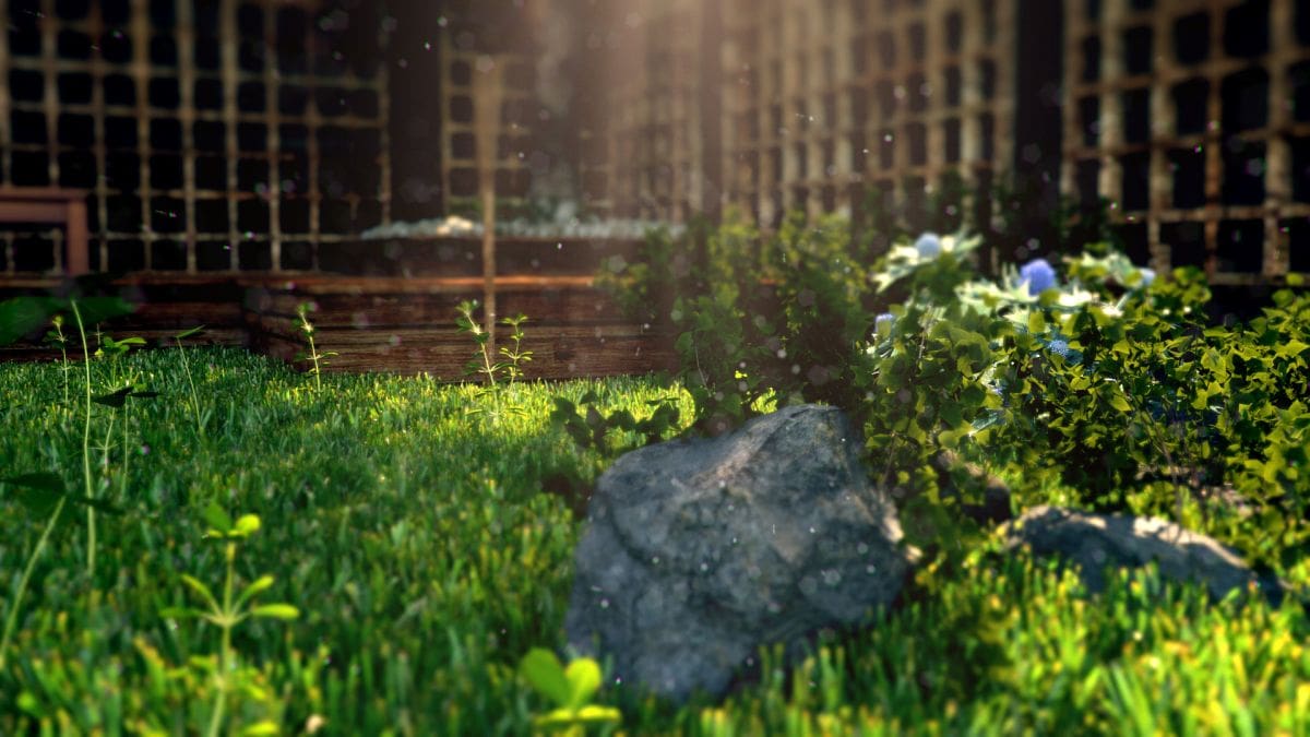 "Green Nature"/Adeel Hameed/Maya, Arnold/Vereinigte Arabische Emirate