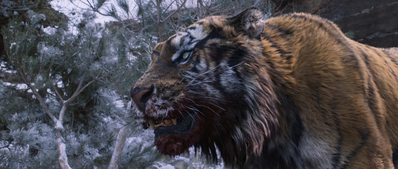 "The Tiger" by 4th Party Korea