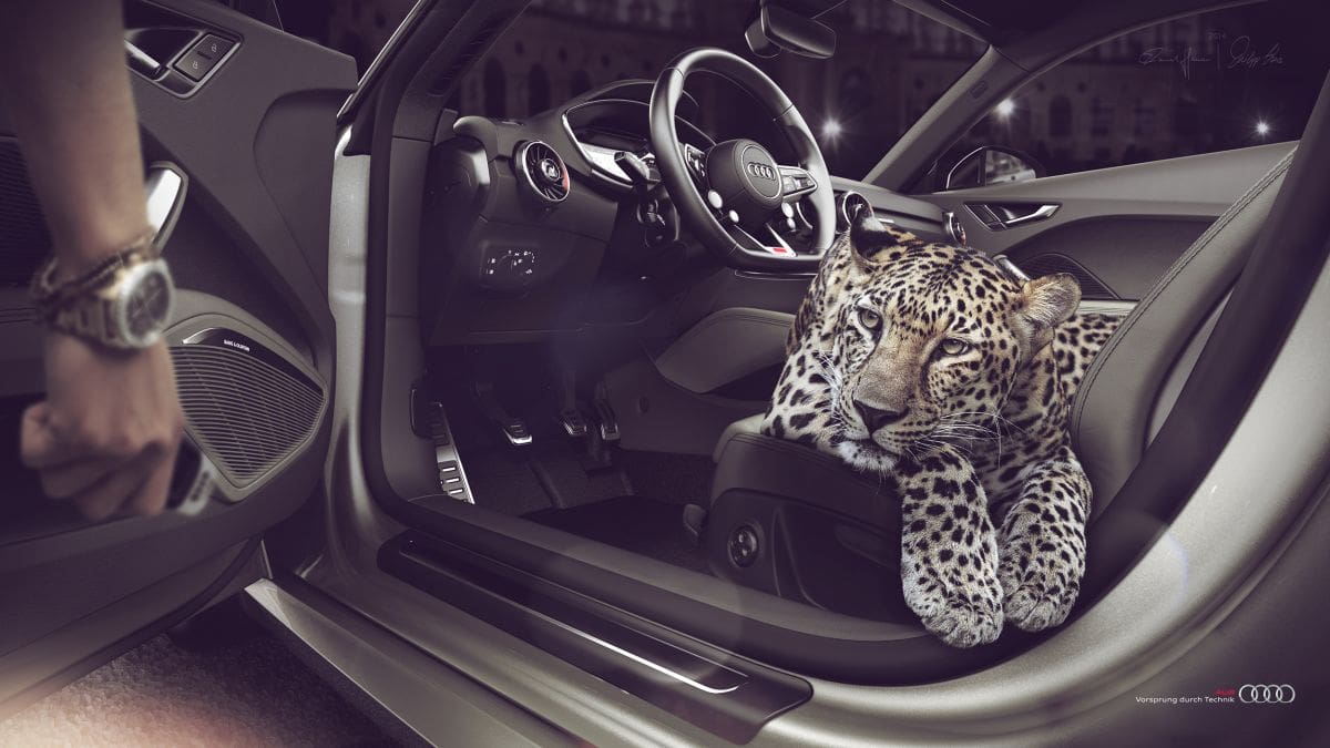 "Audi TT - Eyes of the Panther"/Philipp Hana/Vred/Deutschland