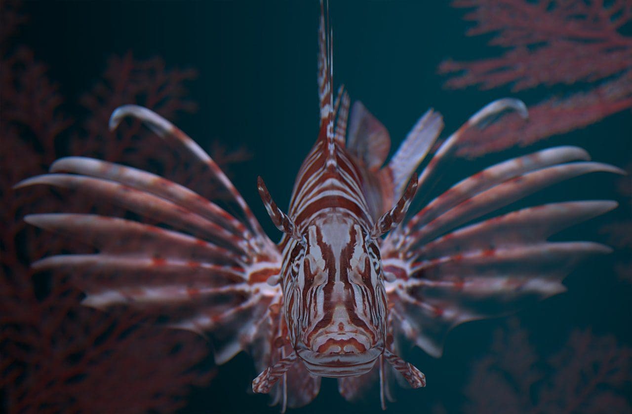 "... inquisitive ...", von Dieter Dreher aus Deutschland, gestaltet mit Cinema4D