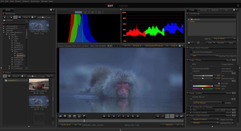 Welche Schnittsoftware darf’s sein? Alle relevanten Editing Tools im Überblick!