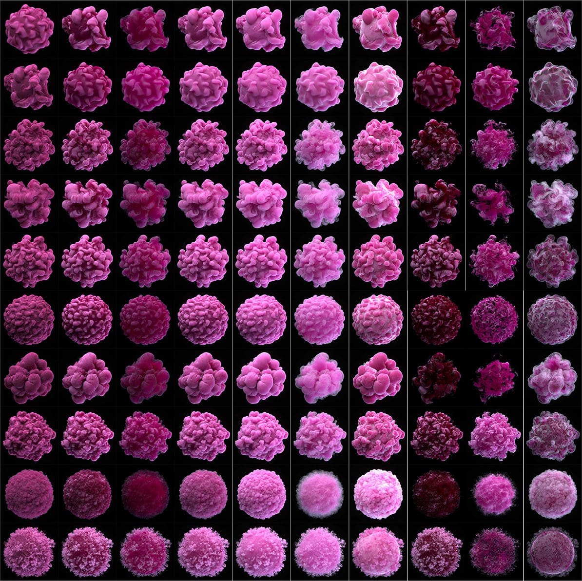 Pack 1
