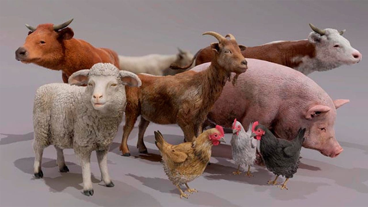 Low Poly Farm Tiere