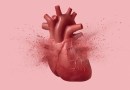 “Broken heart syndrome” can look just like a heart attack. This test can tell them apart
