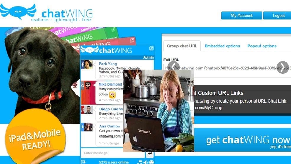 Exploring the Sheer Effectiveness of Chatwing’s Premier Chat Box ...