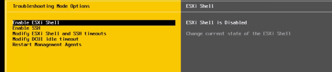 ESXi direct-console menu with the ESXi Shell option enabled for VxRail network configuration.