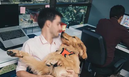 employee playing with dog