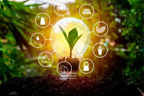 Fontes de Energia Renováveis: O Futuro Sustentável