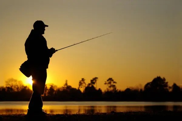 Pesca Esportiva: Um Guia Completo para Iniciantes