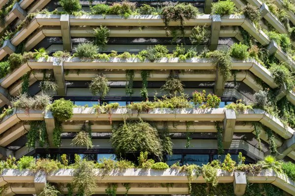 Arquitetura Sustentável: Transformando o Futuro da Construção