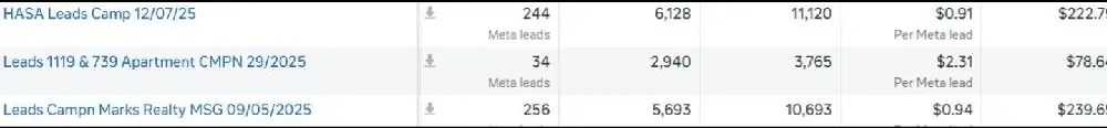 Meta Ads Manager results for Marks Realty NY real estate lead campaigns: 244 leads at $0.91, 34 leads at $2.31 and 256 leads at $0.94 per lead