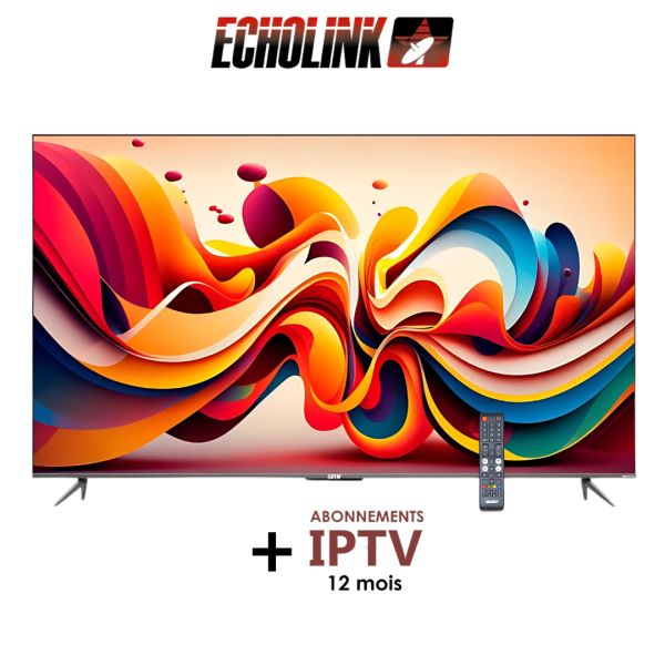 Digitronics echolink 32T8000
