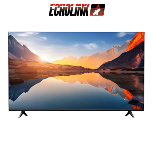 DIGITRONICS ECHOLINK 43Q14