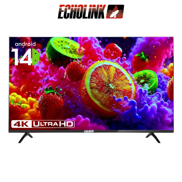 DIGITRONICS ECHOLINK 43U14