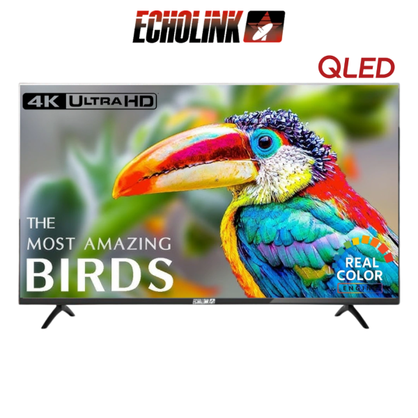 DIGITRONICS ECHOLINK 43QU14