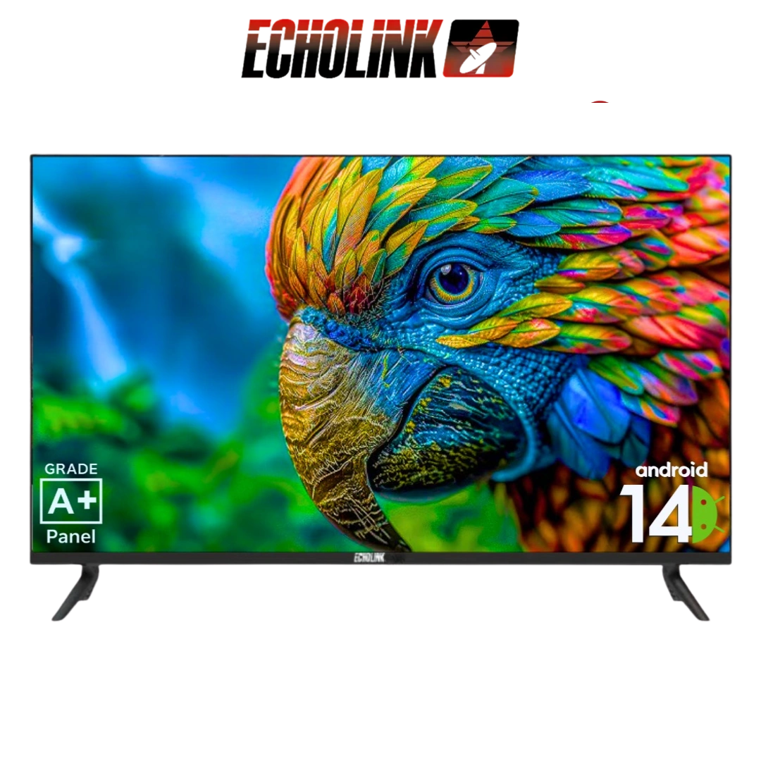 digitronics echolink Q32SM