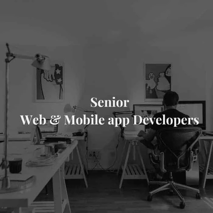 Senior web and app developers