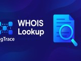 Consulta Whois Informações De Registro De Domínio