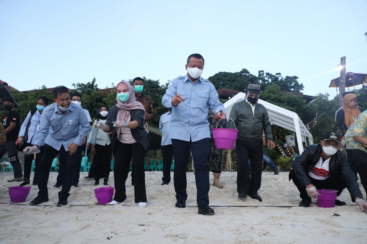 Tidak satupun makhluk hidup yang dapat hidup sendirian. Pegiat Konservasi Penyu Apresiasi Komitmen Menteri Edhy