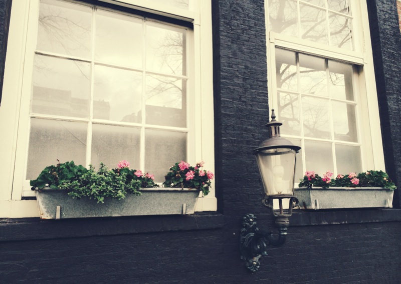 And the hope of spring