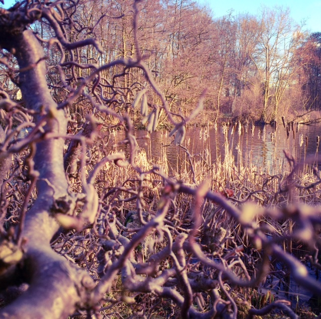 image9