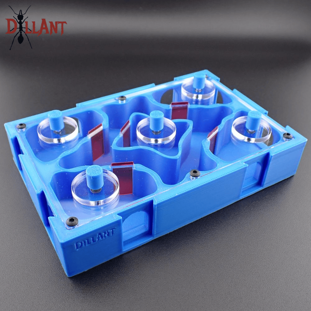DillAnt Modular Large nest Gates and Brood Boost