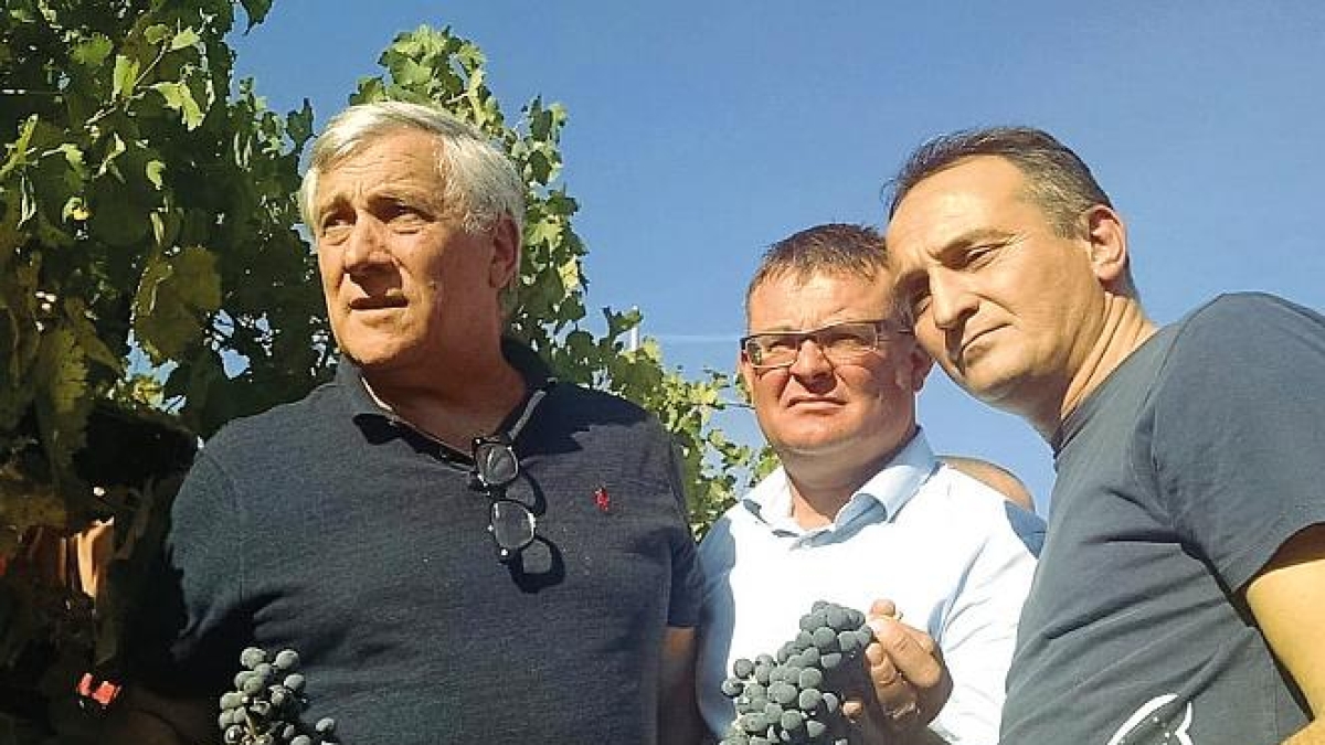 Alberto Cirio resta incollato a Tajani ma sogna la ribalta nazionale, se Pier Silvio glielo lascia fare