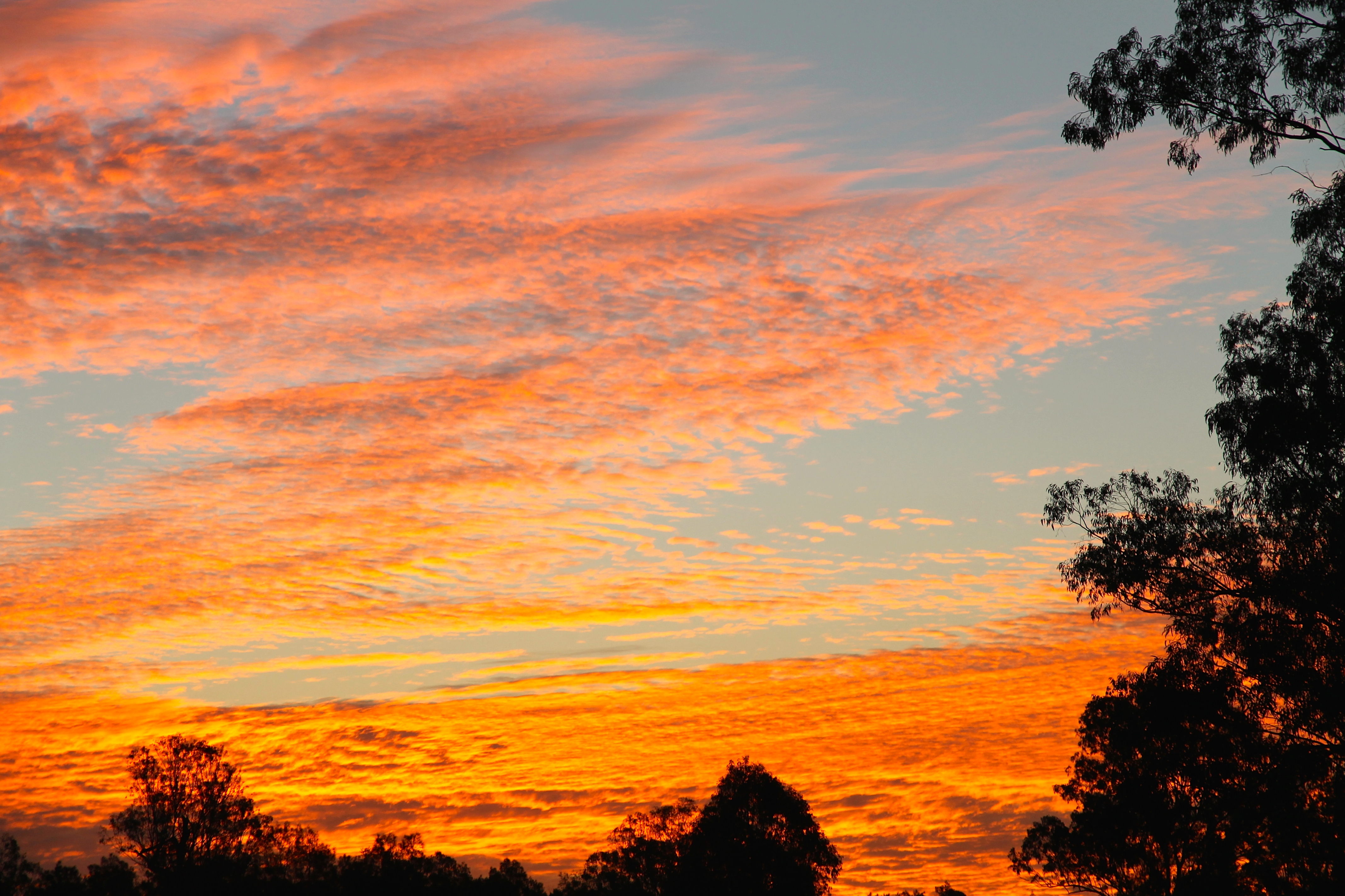 Woodford - 'Sunset 1' (QLD)