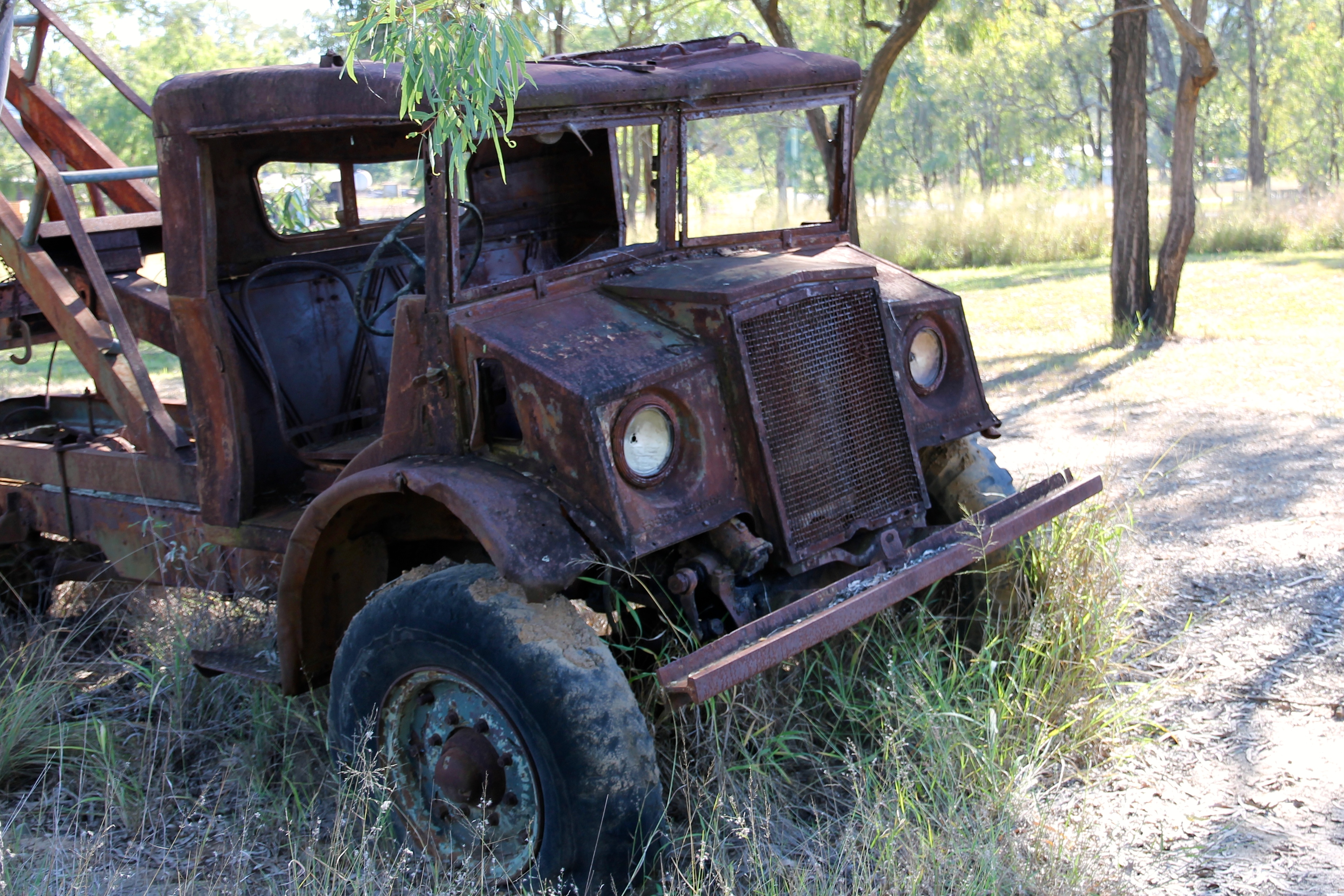 Linville - Such a sad face! (QLD)