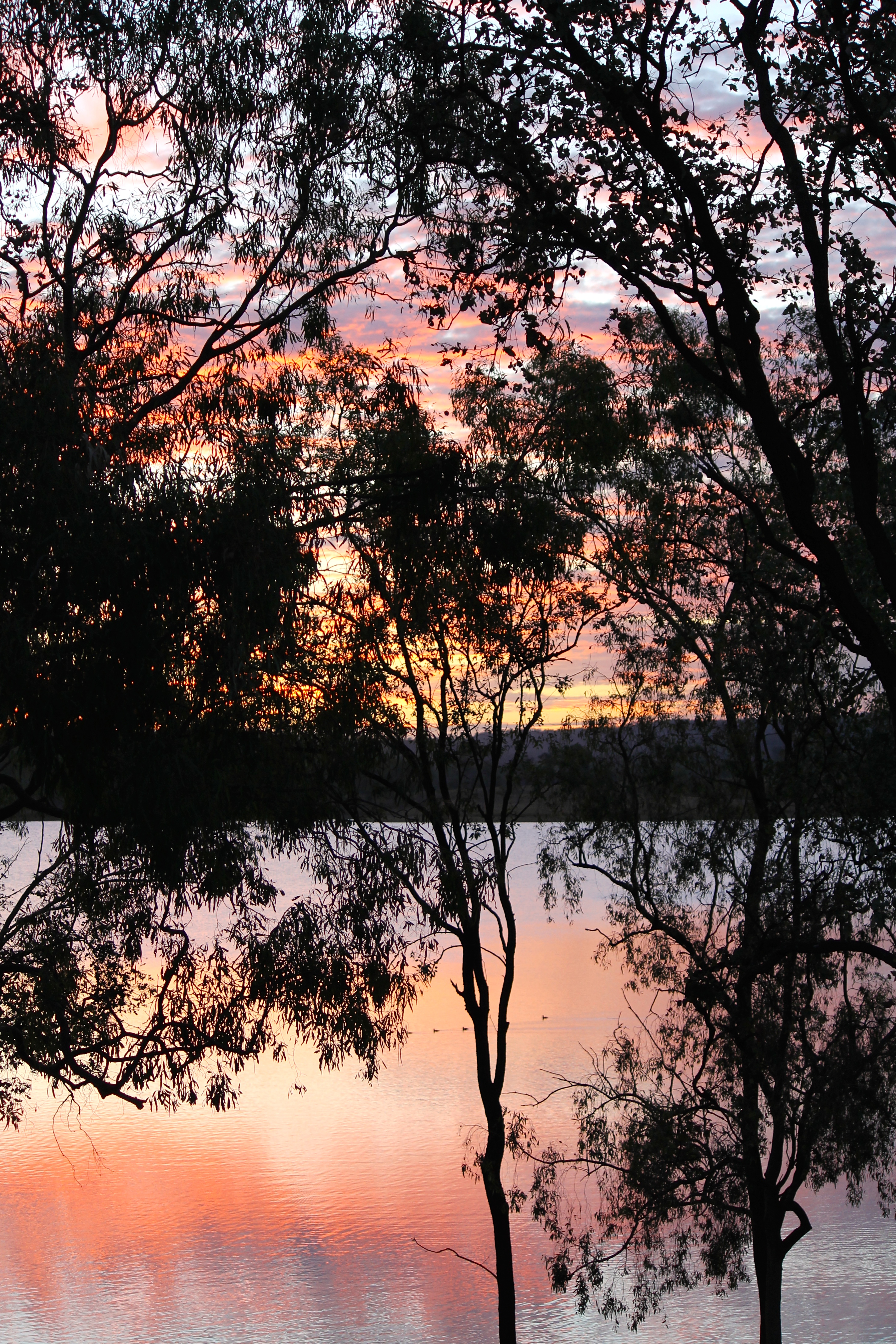 Lake Wivenhoe 'Reflections 1' (QLD)