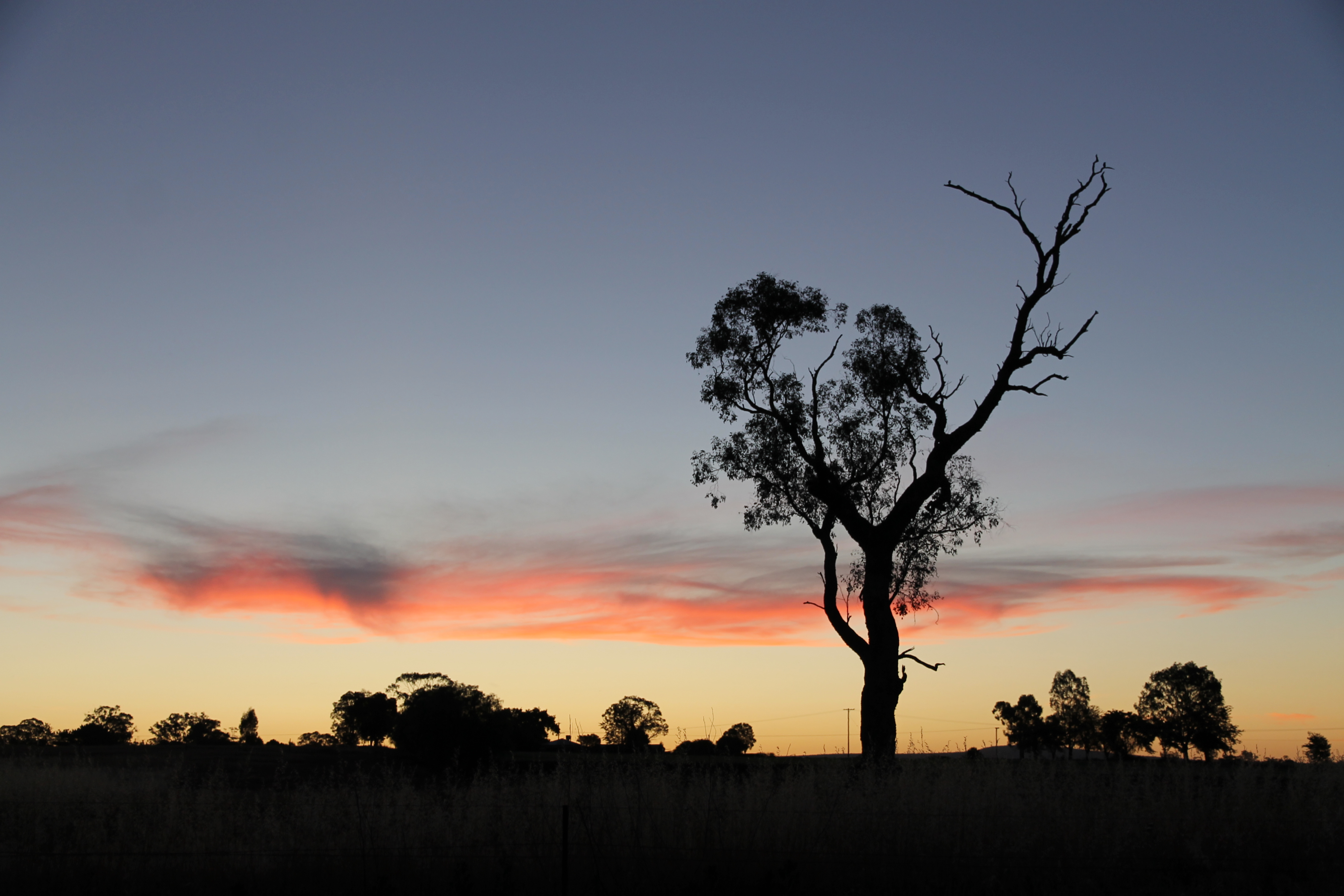 Farleigh Reserve - Sunset (NSW)