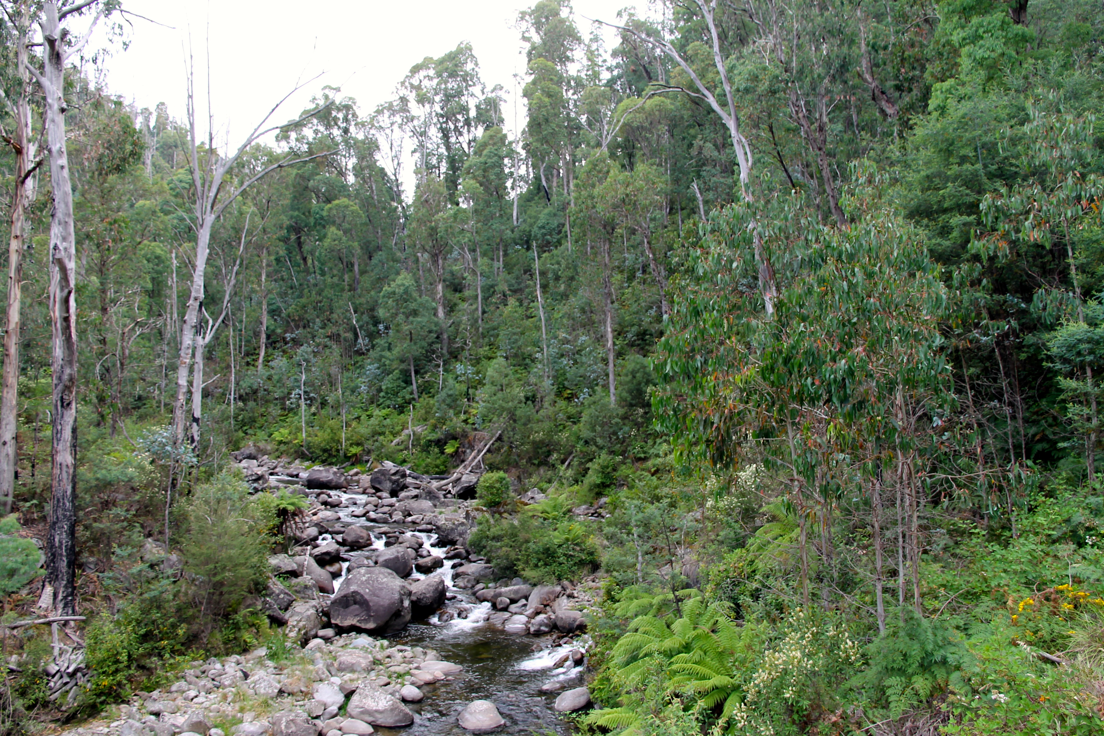 Victorian High Country (VIC)