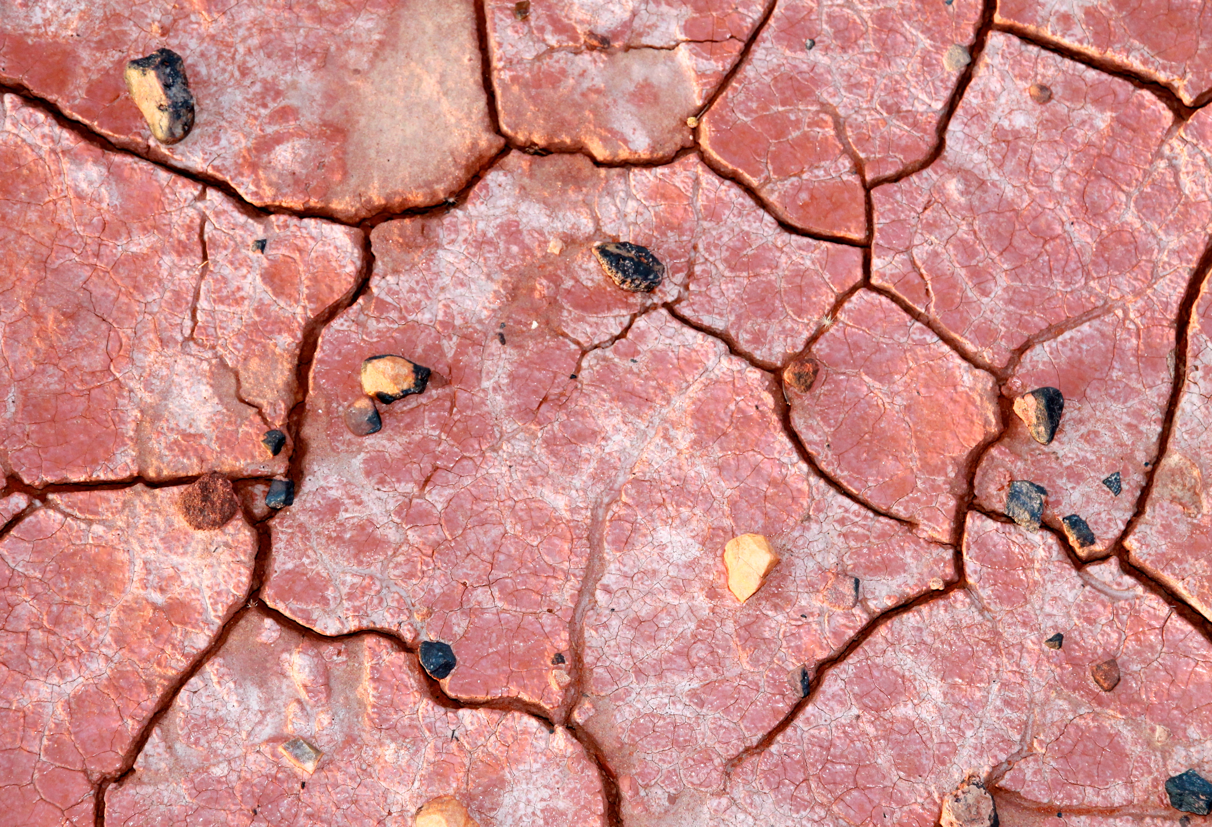 Ewaninga Rock Carvings Conservation Reserve - Baked Earth (NT)