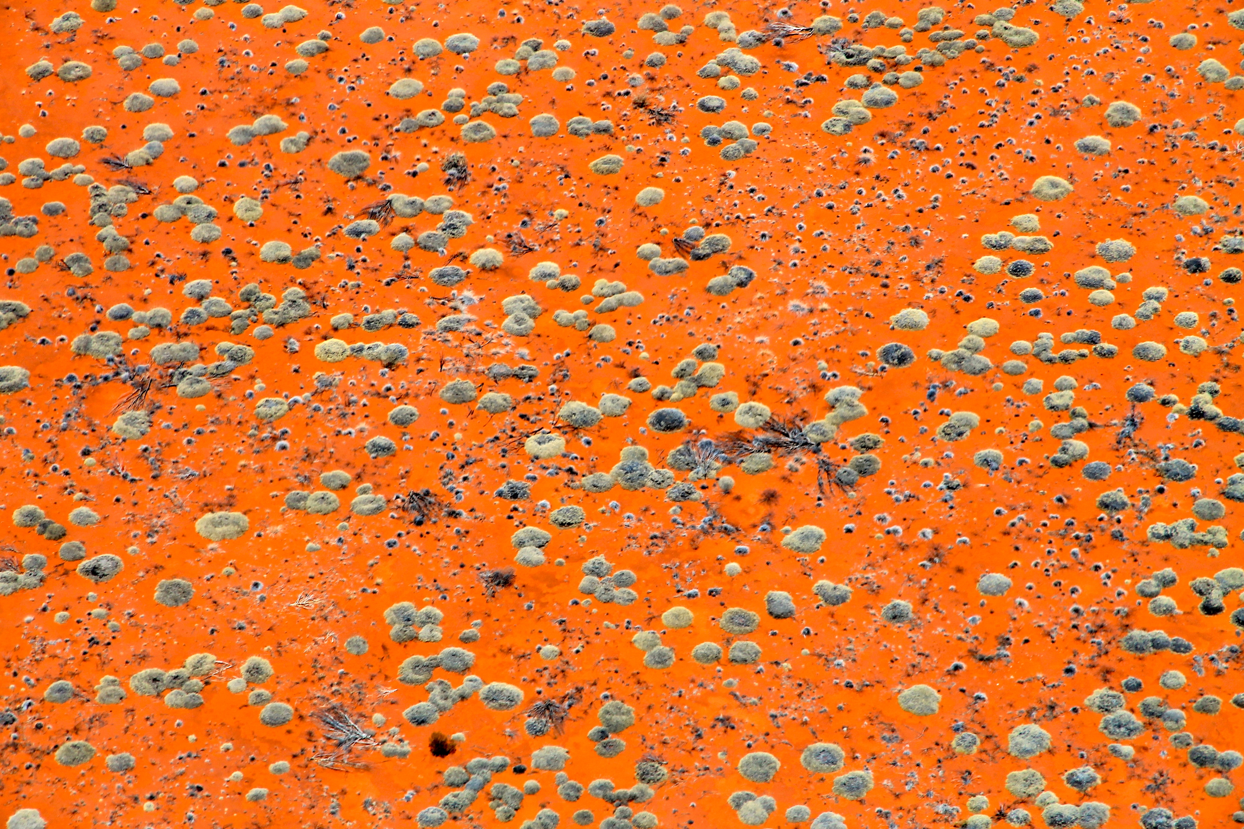 Uluru - 'Spinifex From The Air 1' (NT)