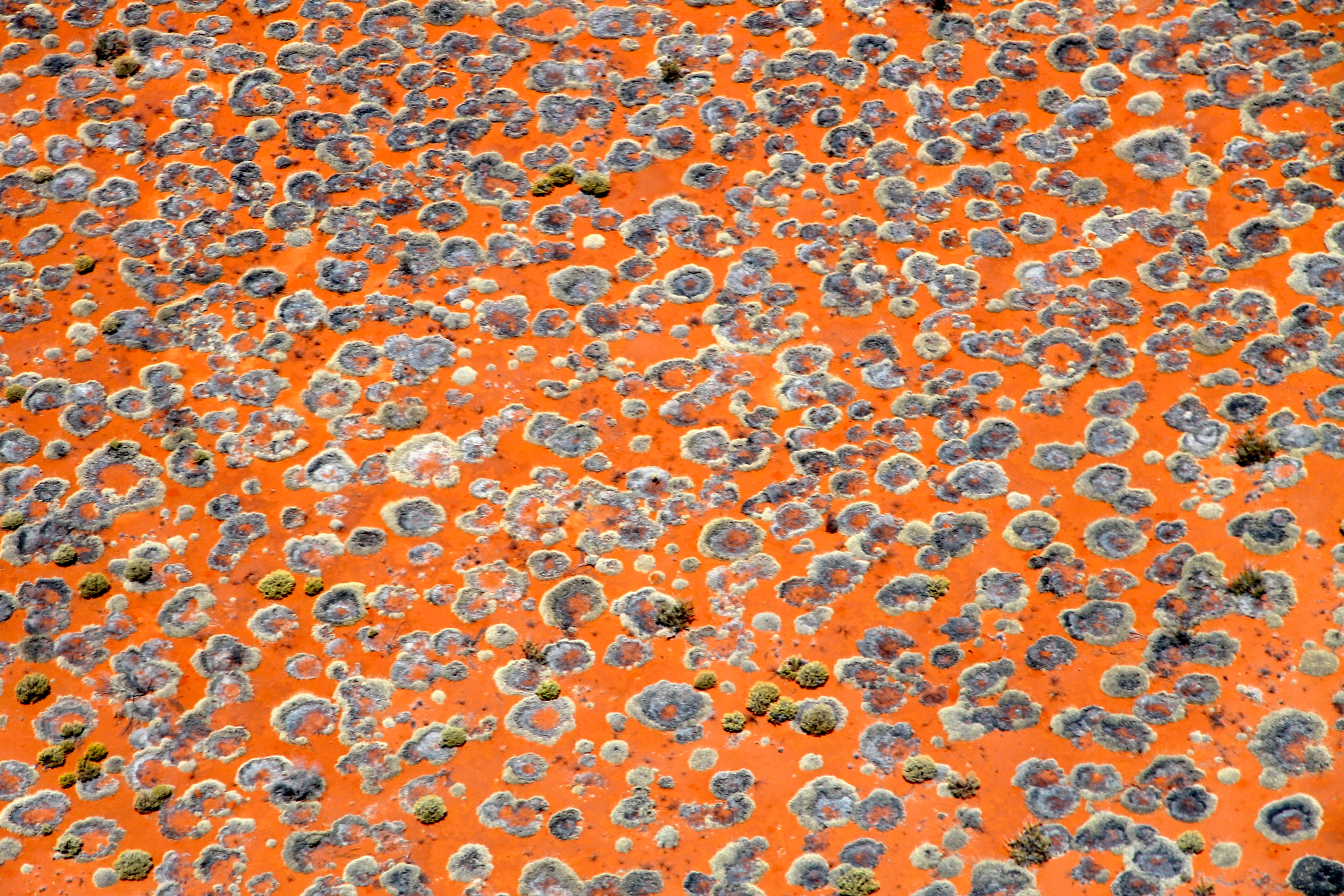 Uluru - 'Spinifex From The Air 2' (NT)