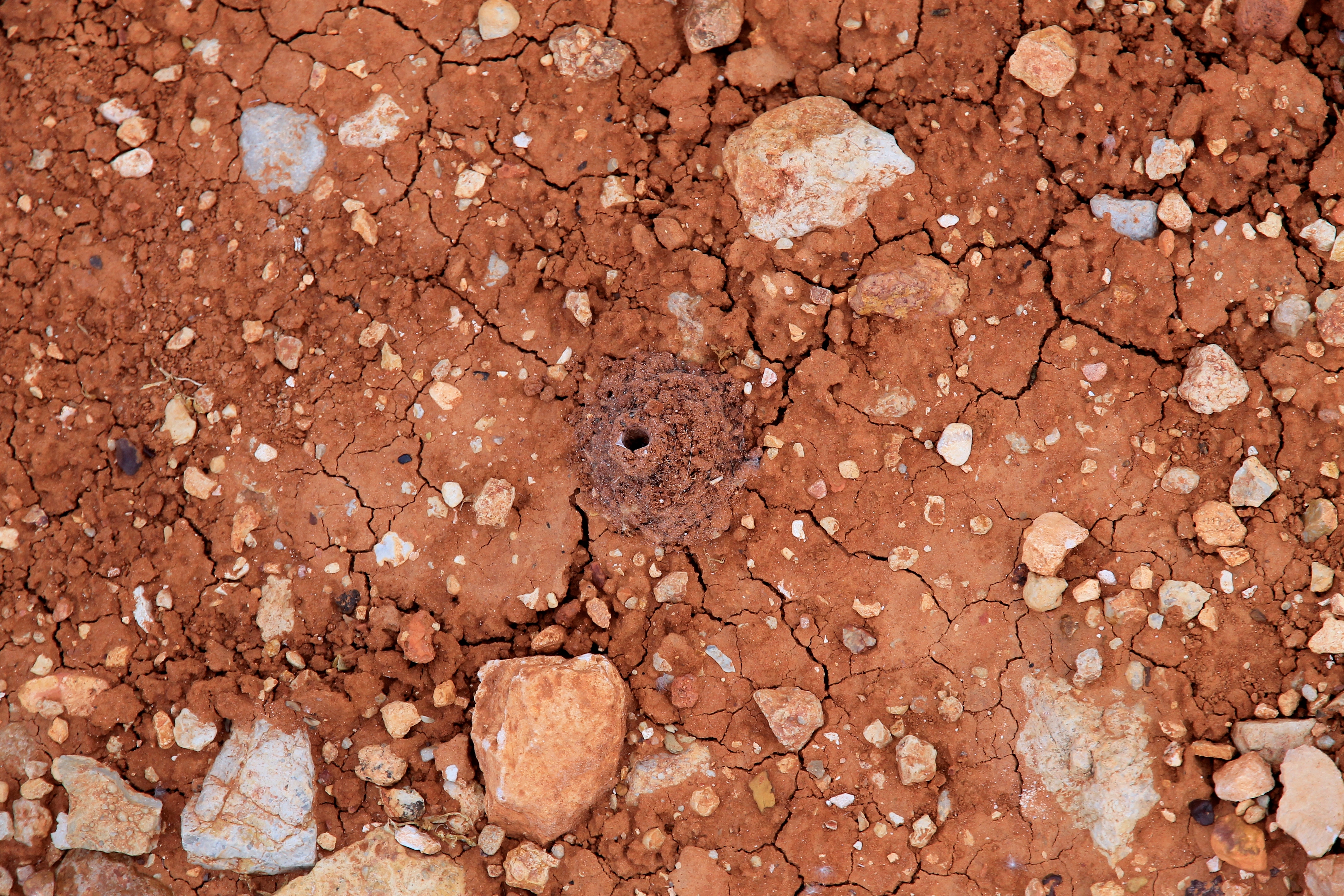 Coober Pedy - Underground Home (SA)