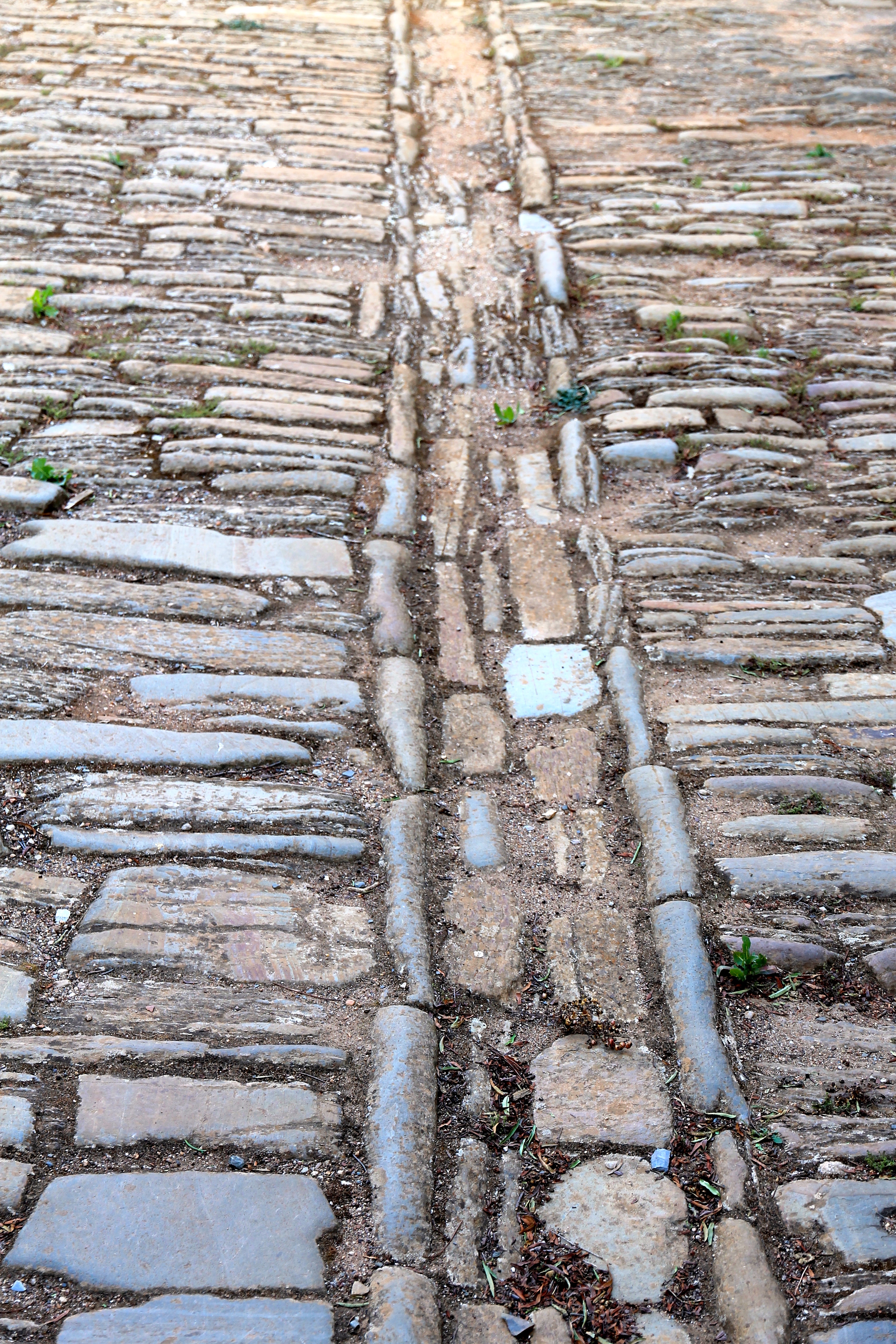 Redruth Police Lockup and Stables - Floor (SA)