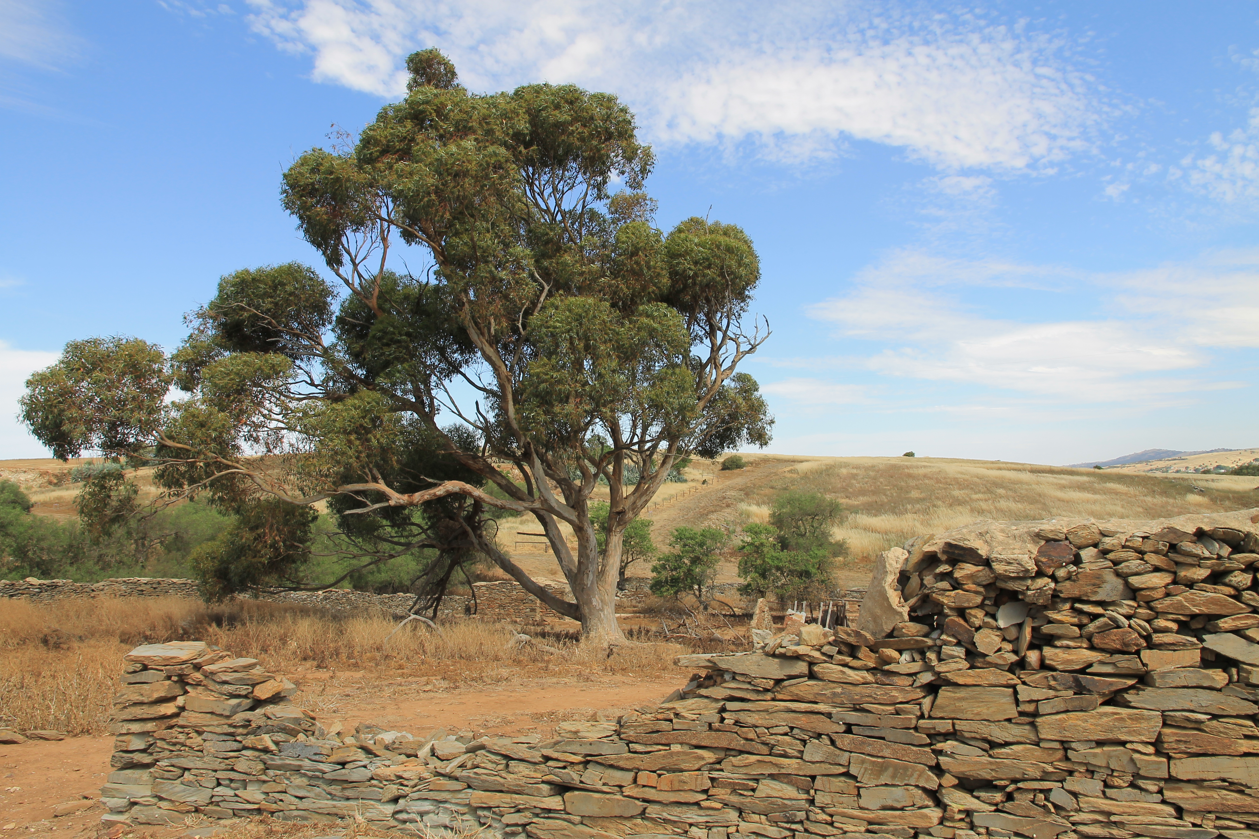 Hampton Township Ruins (SA)