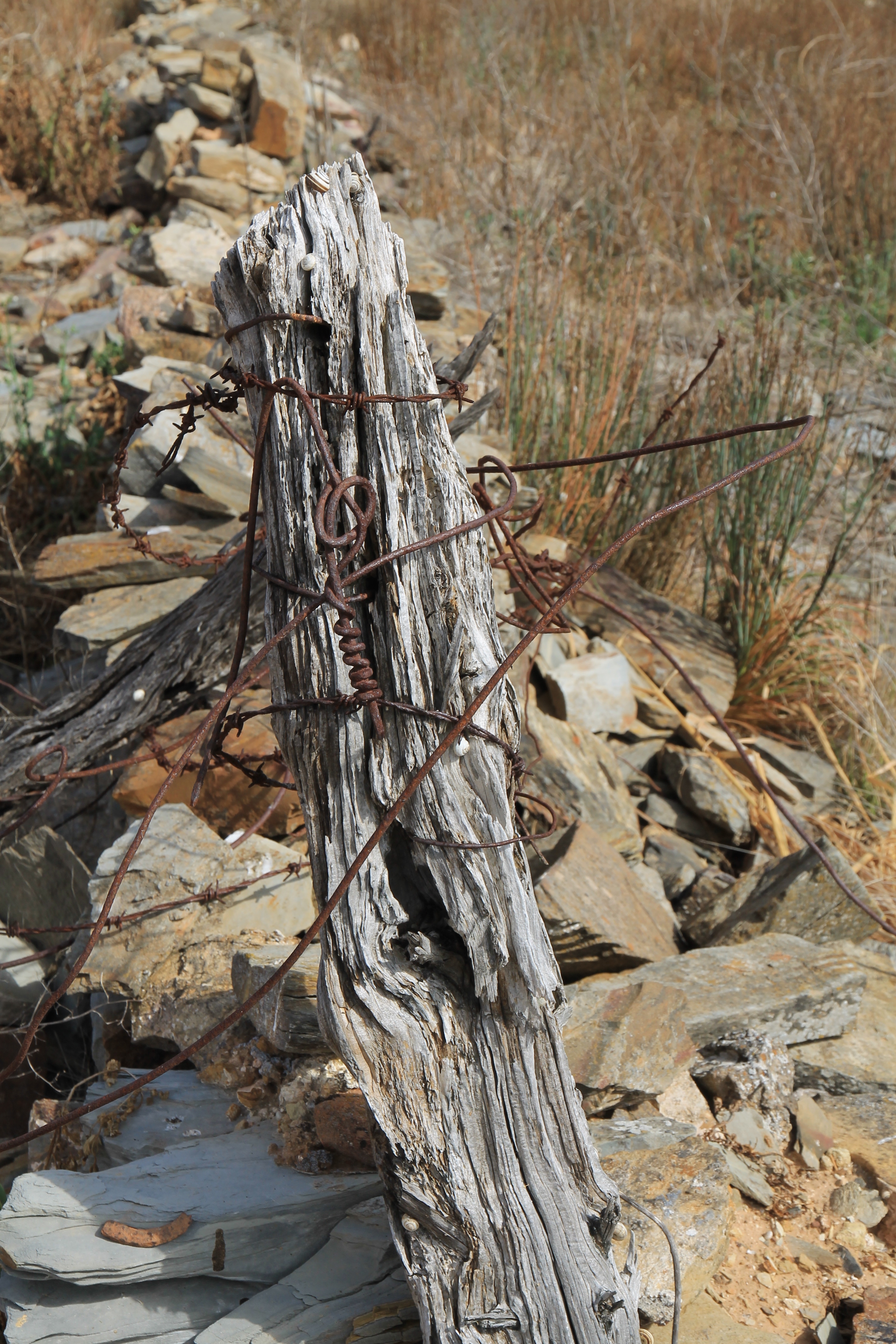 Hampton Township Ruins - 'Wired 1' (SA)