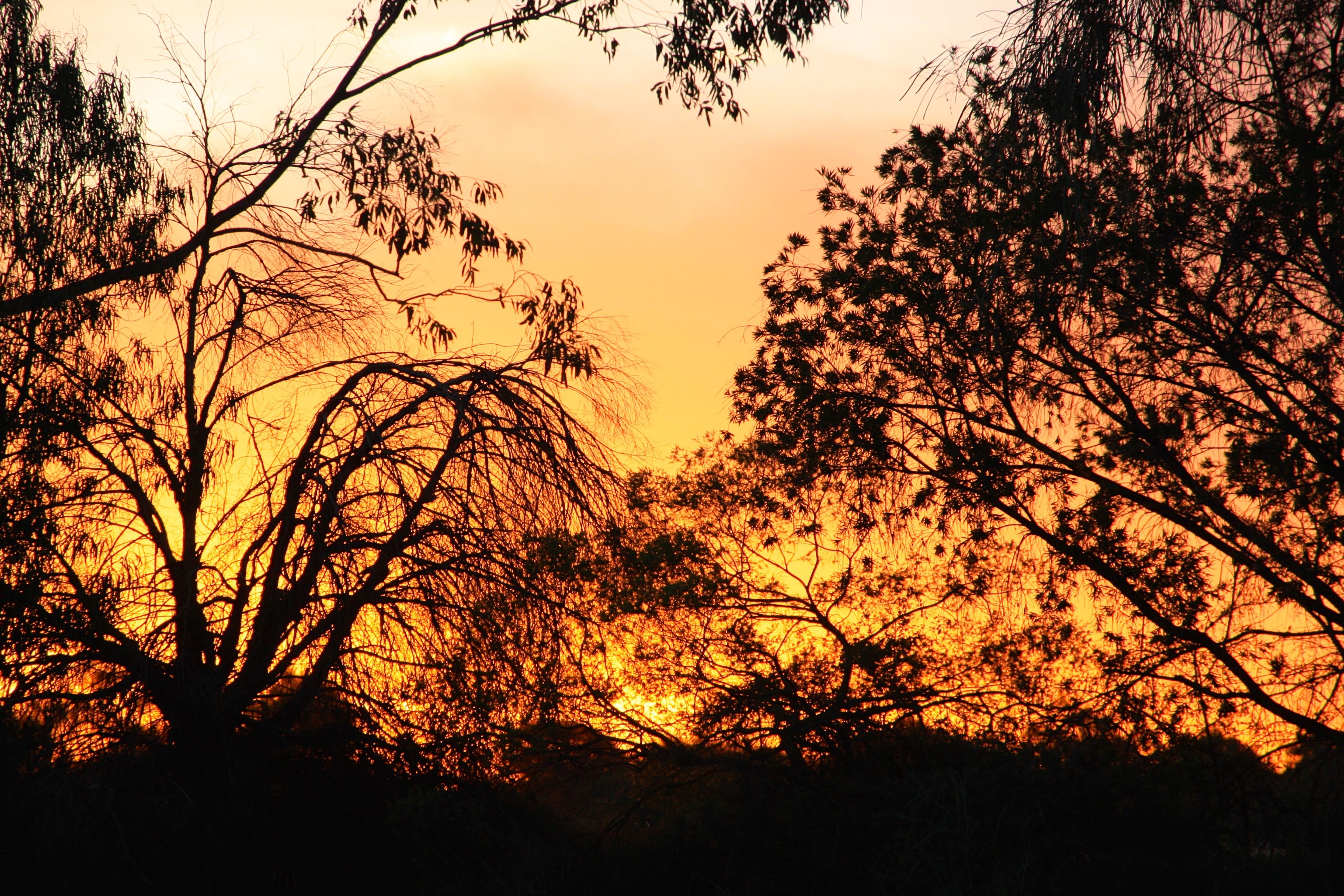 Bourke - Sunset (NSW)