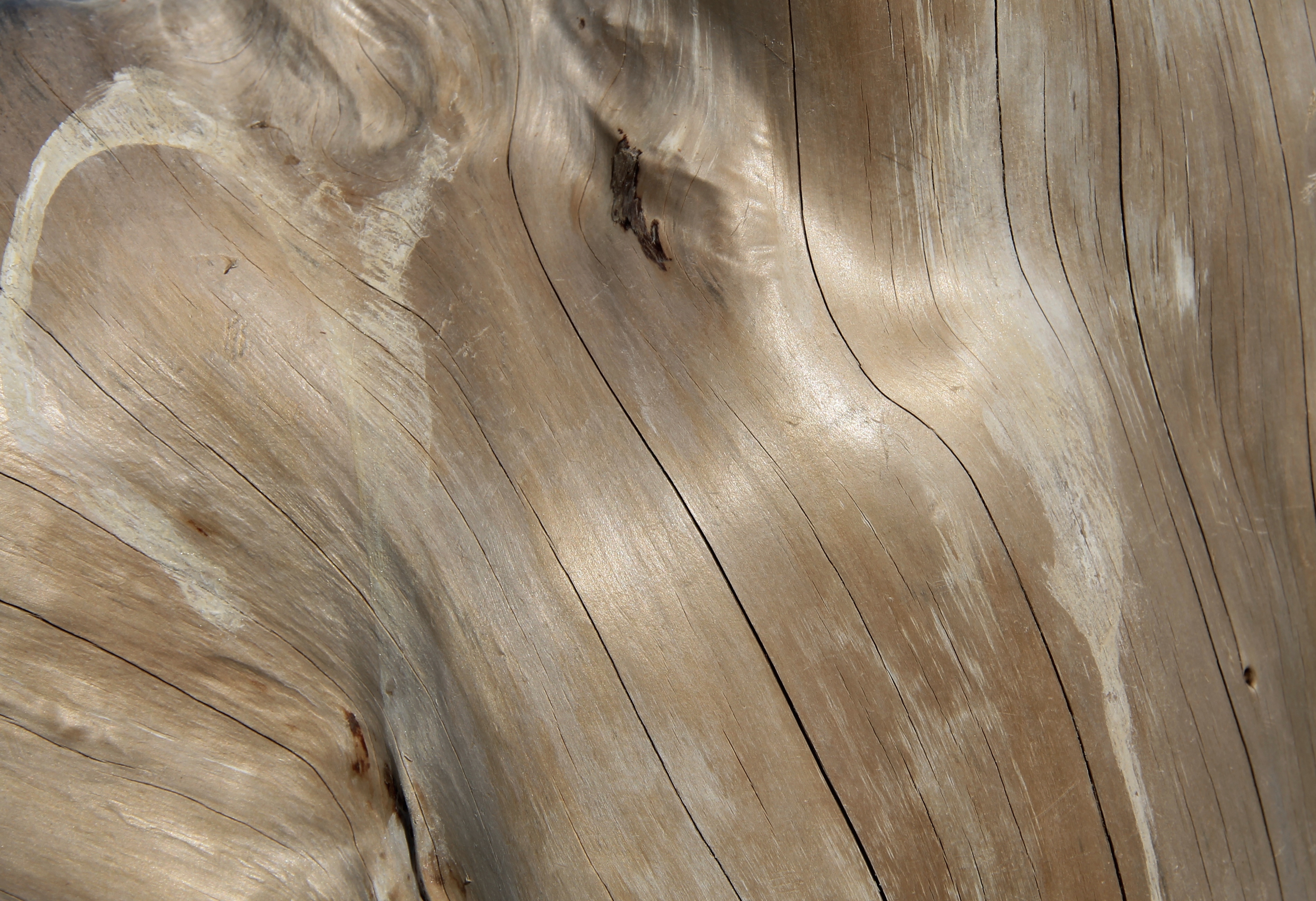 Petal Point - Bleached Timber (TAS)