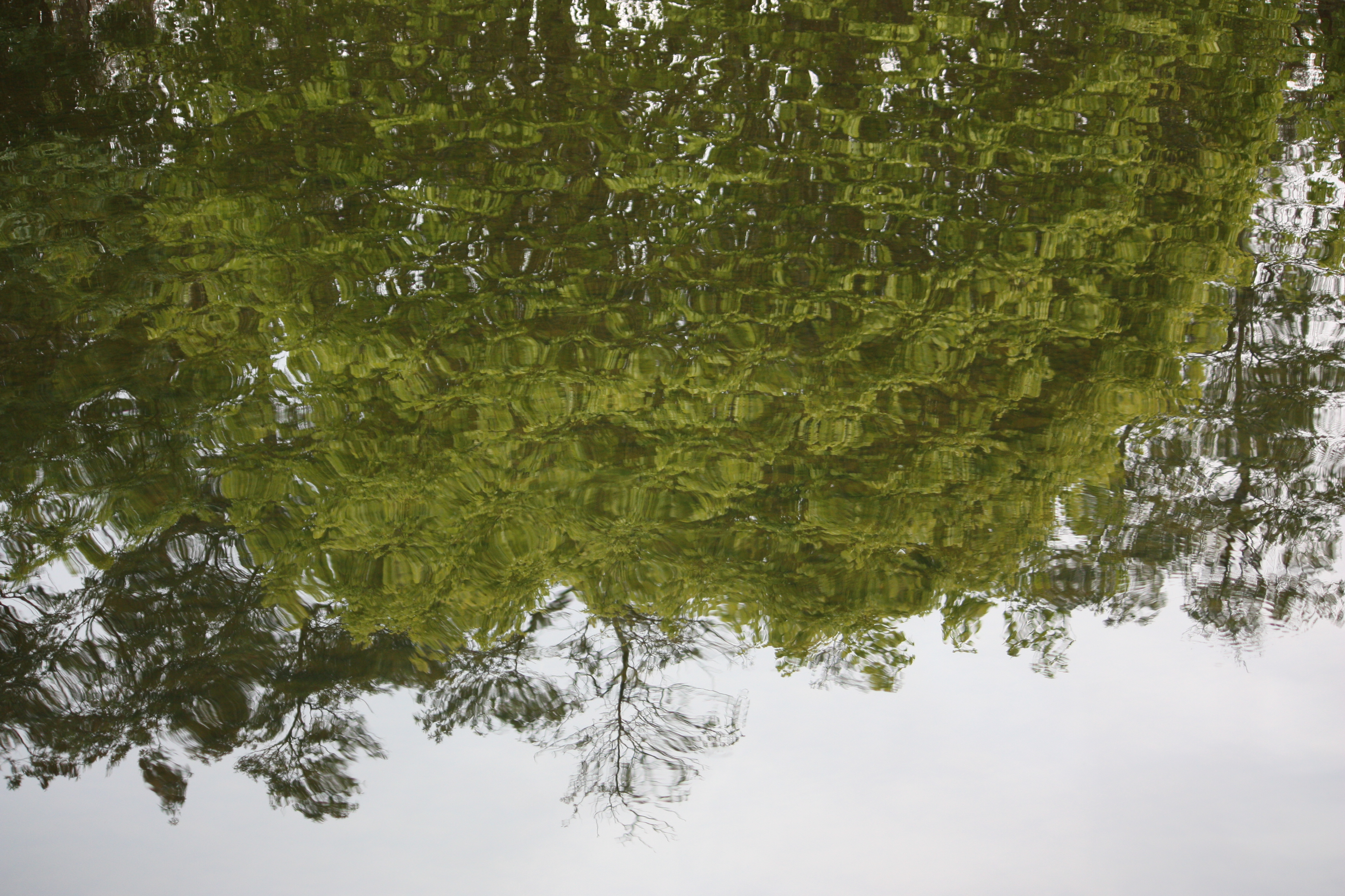 Latrobe - 'Reflections 2' (TAS)