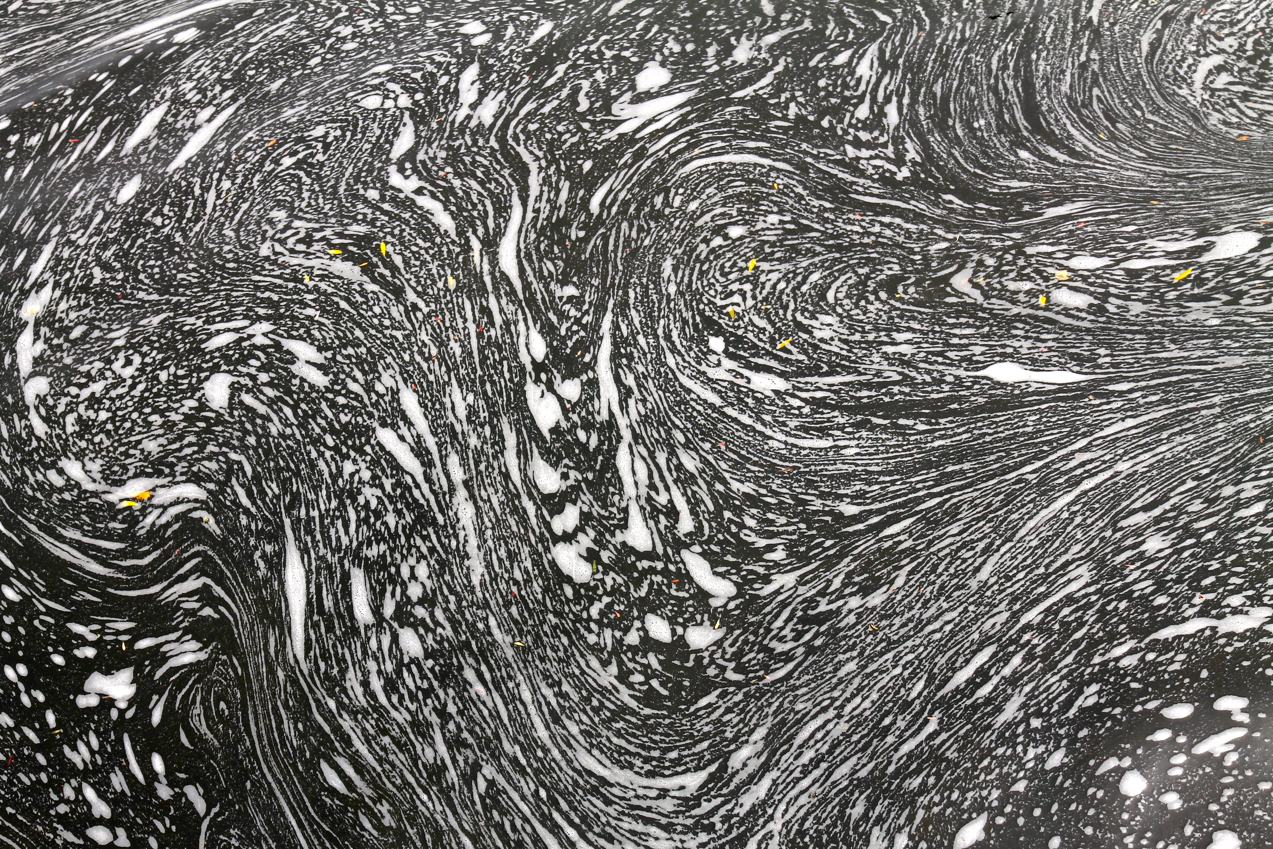 Egmont Reserve - Water Patterns (TAS)