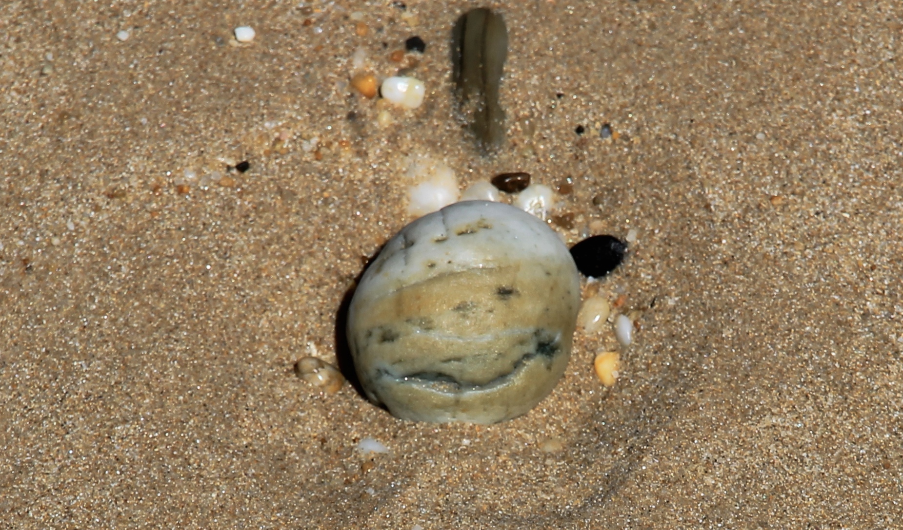 East Beach - 'Washed Up 15' (TAS)