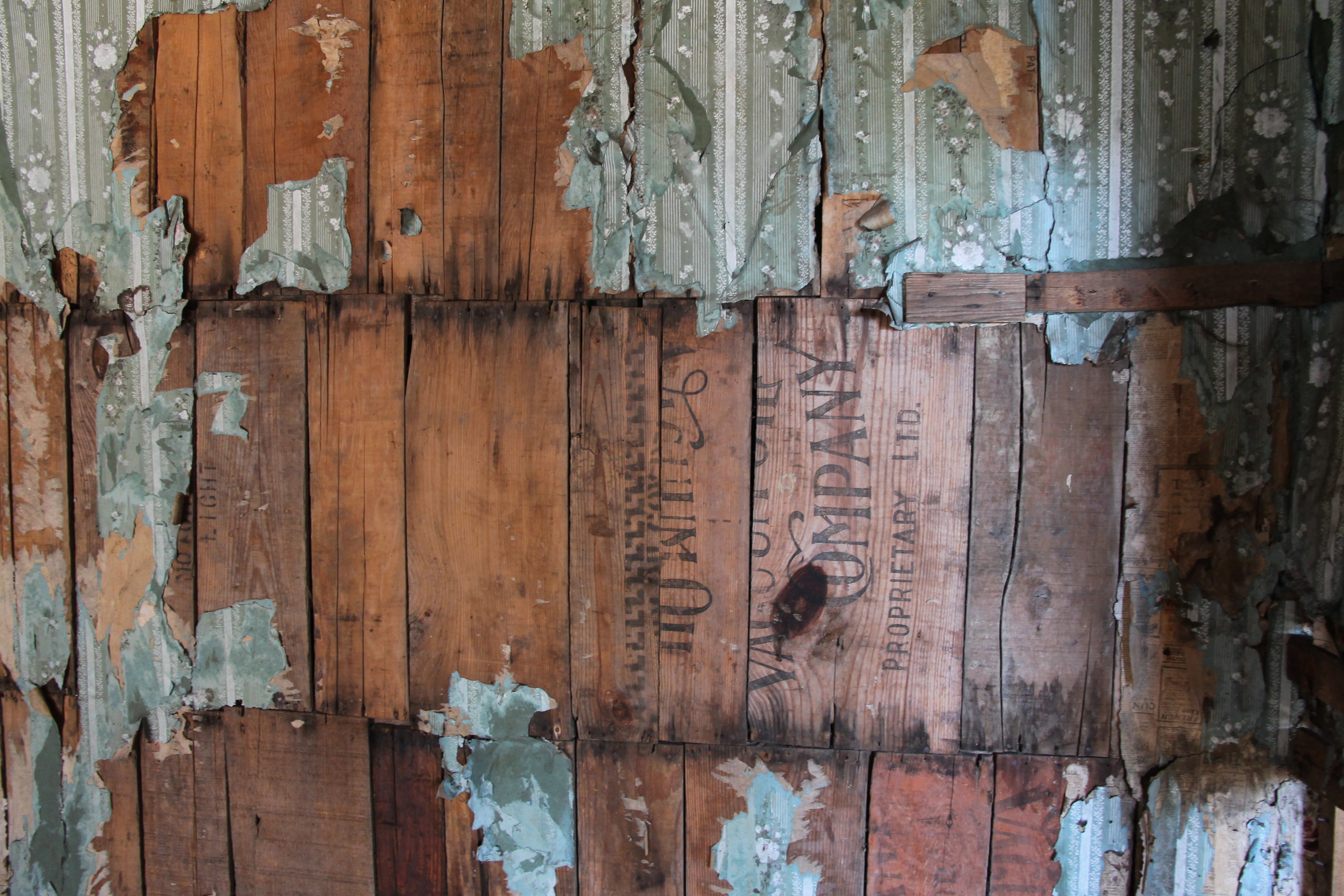 Maria Island - Interior Of Howells Cottage (TAS)