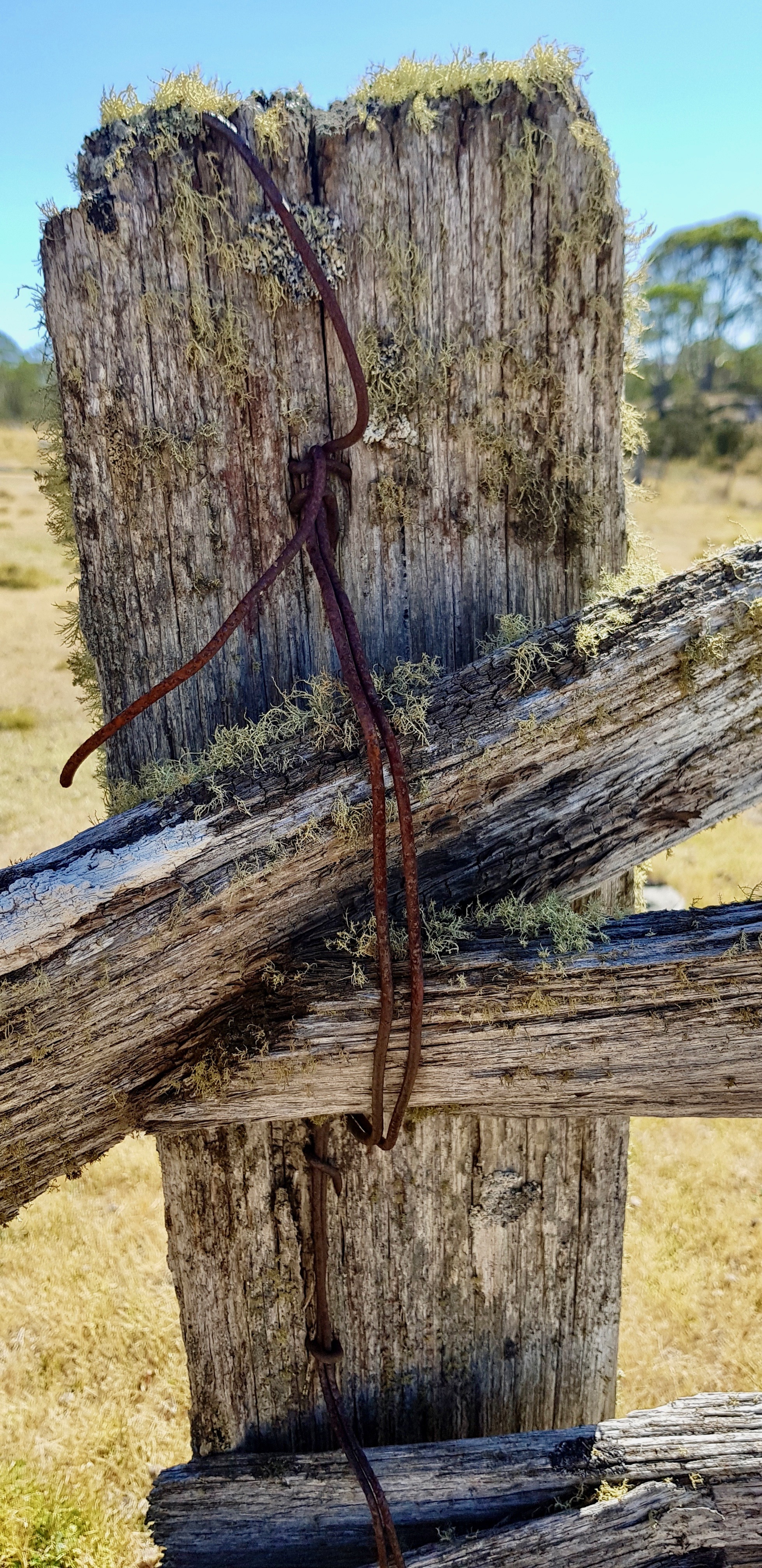 Liawenee Area - 'Wired 4' (TAS)