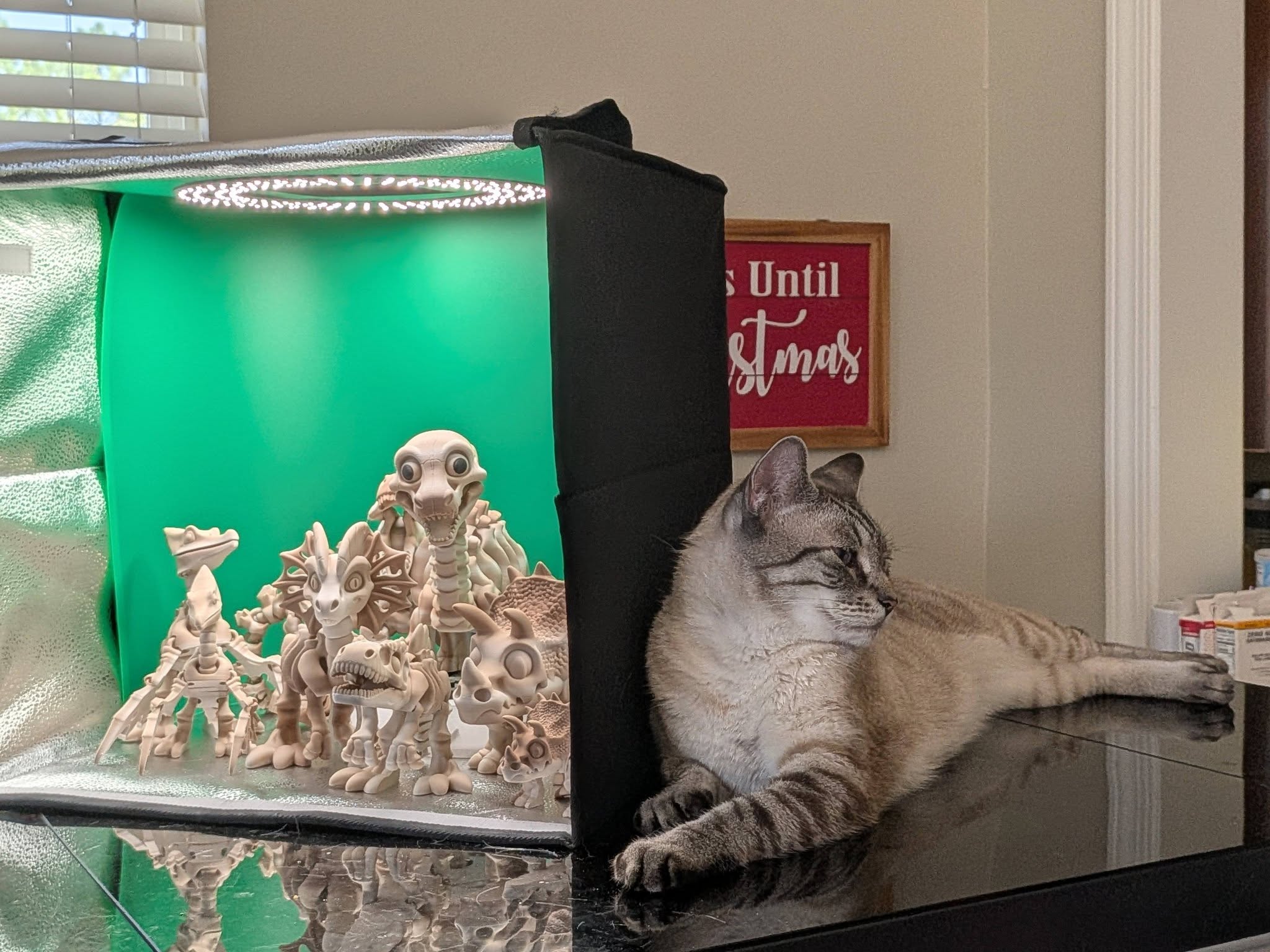 The Dimensional Muse cat, Jon Snow, assists in photographing Dinosaurs